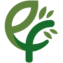 ECO FOCUS SRL