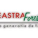 FEREASTRA FOREST SRL