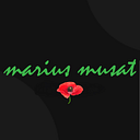 MARIO PRODUCTION SRL