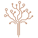 ANDRE SILVA FOREST SRL