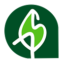 ANA ONLINE SOLUTIONS SRL