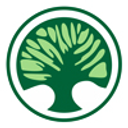 AR LINIA TEA SRL