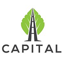 CAPITAL CONSULTING & SOLUTIONS SRL