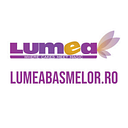 LUMEA BASMELOR INTERNATIONAL SRL