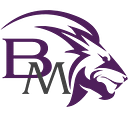 BRAVA MEDICAL S.R.L.