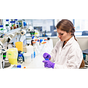 LUNDBECK ROMANIA SRL