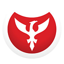 BALDWIN SRL