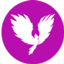 ANDREW PHOENIX SRL