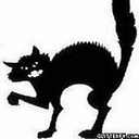 GATTI NERI SRL
