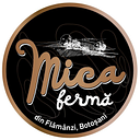 ELLY FOOD TRADIŢIONAL SRL