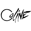 P.A.U. & CO LINE SRL