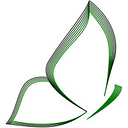 VLINDE TRANSYLVANIA SRL