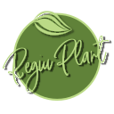 REGIU PLANT S.R.L.