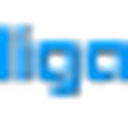 LIGA WEB SRL