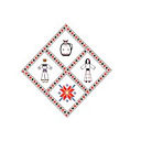 ROMANIAN FOLK ART FASHION SRL