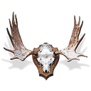 ELITE ARMS SRL