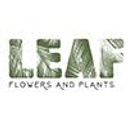LEAF DISTRIBUTION SRL