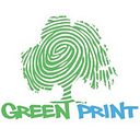 GREEN INDUSTRIES MANAGEMENT SRL