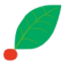 VITAL NUTRI CENTER RBA S.R.L.