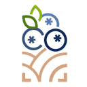 BLUETTES SAVEUR SRL