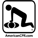HEALTH SAFETY ENGINEERING SERVICES SRL