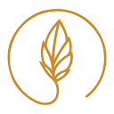 HOLISTIK TEAM CONSULTING SRL