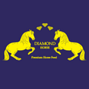 DIAMOND HORSE SRL