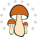 PLATFORMA MARIO SRL