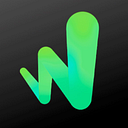DEXWIN SRL