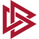 RED VIKING SRL