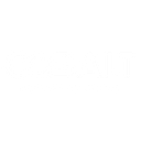 COBALT ADVISERS S.R.L.