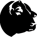 BR ANGUS  SRL