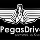 PEGASDRIVE SRL