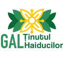 TINUTUL HAIDUCILOR S.R.L.