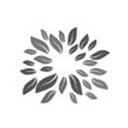 ISMS INVEST SRL