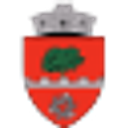 Stema COMUNA ARINIS