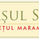 Stema ORASUL SEINI