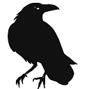 RAVEN ACCOUNTING SRL
