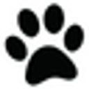 HEALTHY PET CENTER SRL
