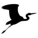 WILD TRAVEL SRL