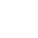 LIBRA GUARD SRL
