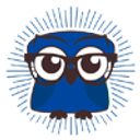 WISE COMPUTER S.R.L.