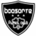 BOA SORTE SRL