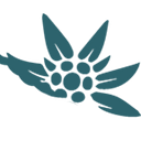 EDELWEISS SRL