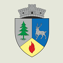 Stema COMUNA LOPĂTARI