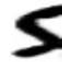 SARIMEX S.R.L.