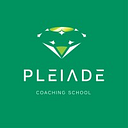 PLEIADE EDUCATION SYSTEM SRL