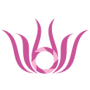 EVOLINES PRODUCTION SRL