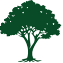 THINK GREEN CONSULTING SRL