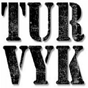 TURVYK INVESTMENT GROUP SRL